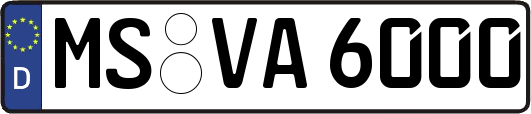 MS-VA6000