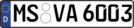 MS-VA6003