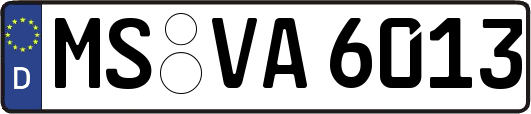 MS-VA6013
