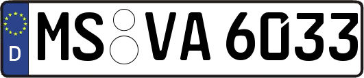 MS-VA6033