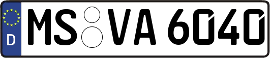 MS-VA6040