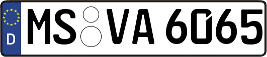 MS-VA6065
