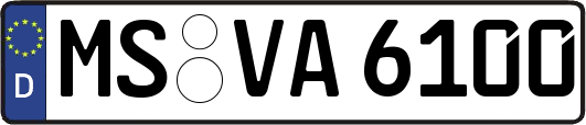 MS-VA6100
