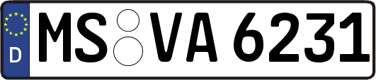 MS-VA6231