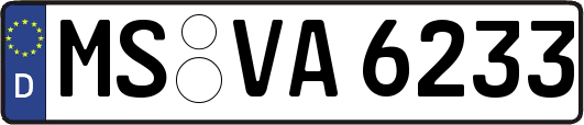 MS-VA6233