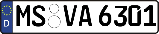 MS-VA6301