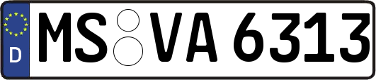 MS-VA6313