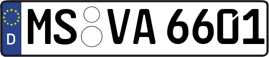 MS-VA6601