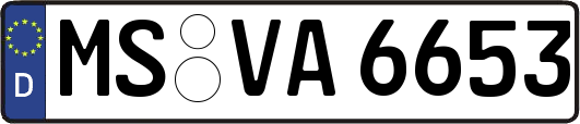 MS-VA6653