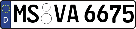 MS-VA6675