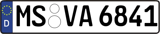 MS-VA6841