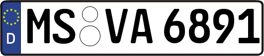 MS-VA6891