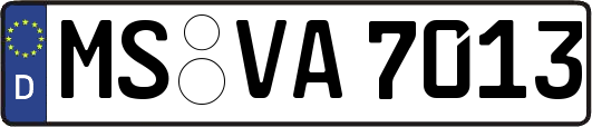 MS-VA7013