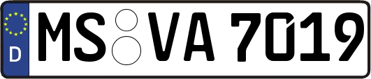 MS-VA7019