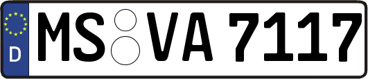 MS-VA7117