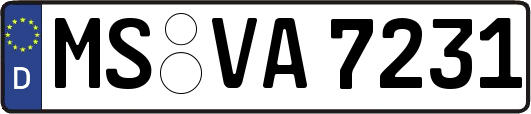 MS-VA7231