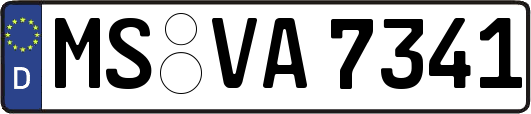MS-VA7341