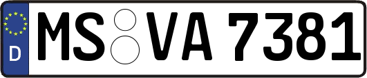 MS-VA7381