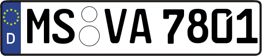 MS-VA7801