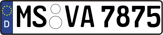 MS-VA7875