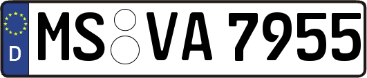 MS-VA7955