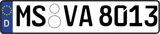 MS-VA8013