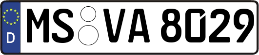 MS-VA8029