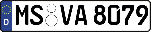 MS-VA8079