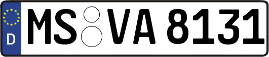 MS-VA8131