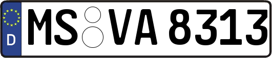 MS-VA8313