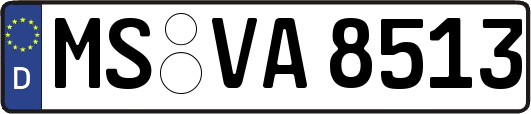 MS-VA8513