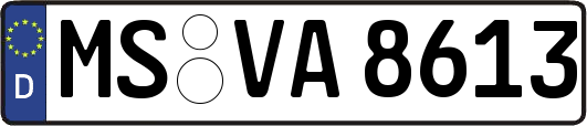 MS-VA8613