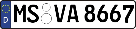MS-VA8667