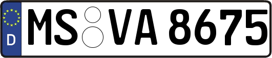 MS-VA8675