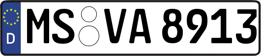 MS-VA8913