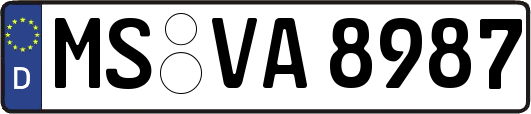 MS-VA8987