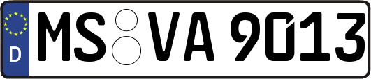 MS-VA9013