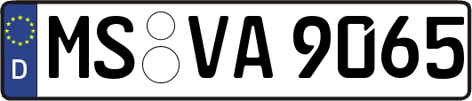 MS-VA9065