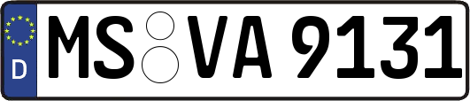 MS-VA9131