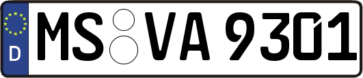 MS-VA9301