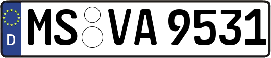 MS-VA9531