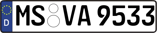 MS-VA9533