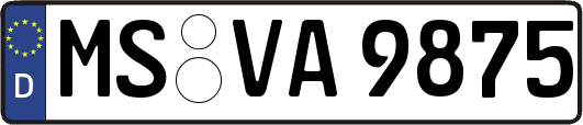 MS-VA9875