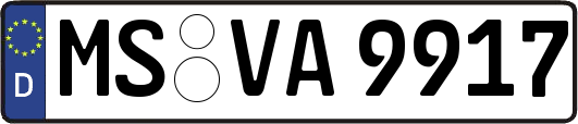MS-VA9917