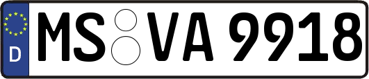 MS-VA9918