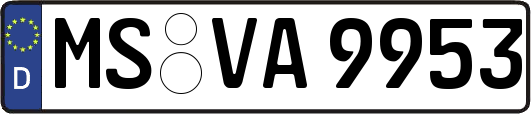 MS-VA9953