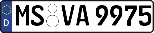 MS-VA9975