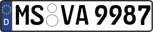 MS-VA9987