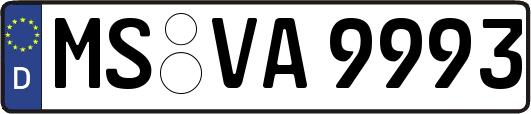 MS-VA9993