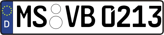 MS-VB0213